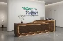 Counter YM-001 Chiavena.webp